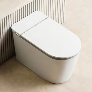 flush toilet 8078ZM